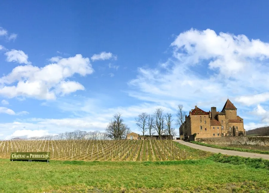 Le château de Pierreclos et ses vignes