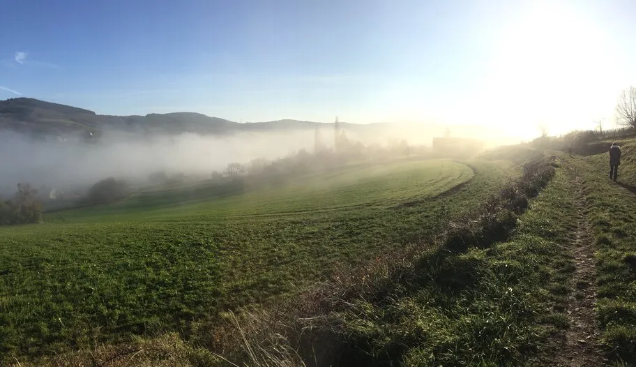 Un chemin le long d’un champ, dans la brume, au lever du soleil