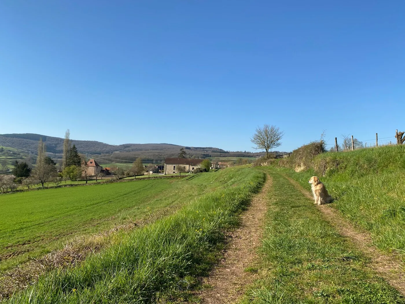 Un chemin de terre entre les prés, un chien assis et un village au loin