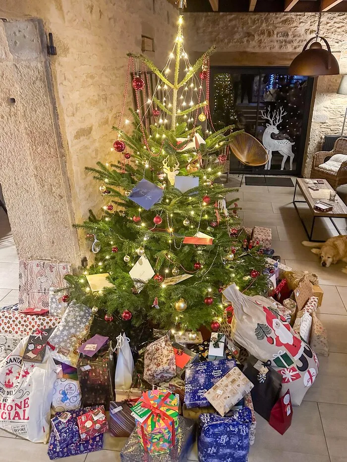 The Christmas tree and its presents, in the room with stone walls