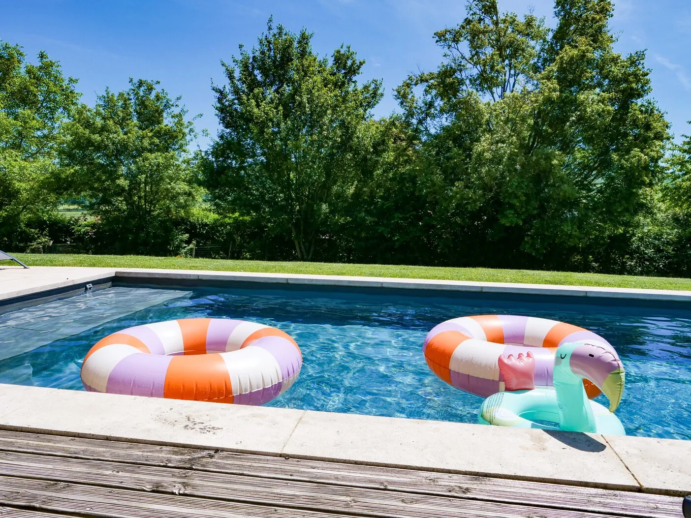 La piscine et ses bouées, entourée d’arbres