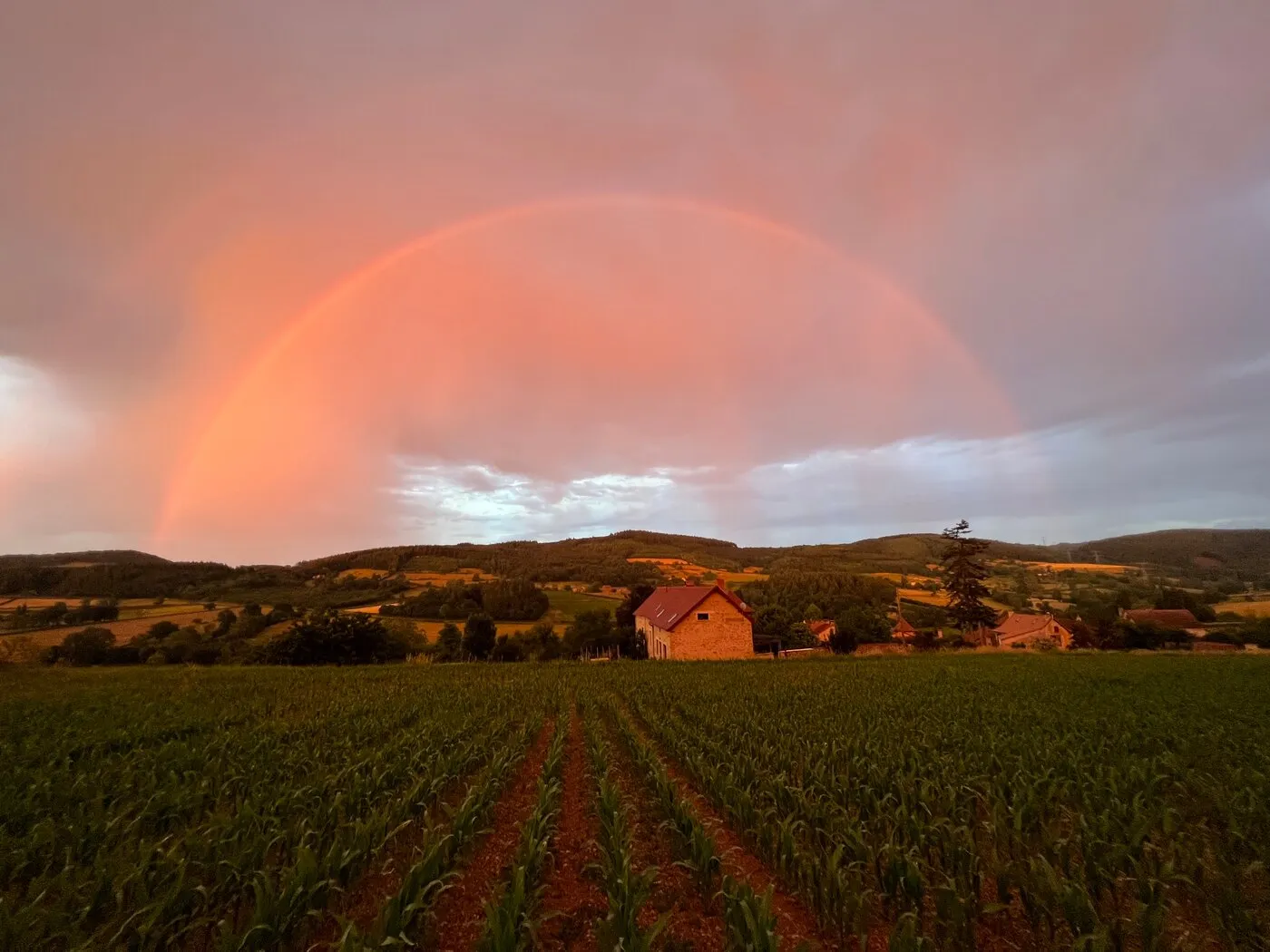Un arc-en-ciel sur les champs