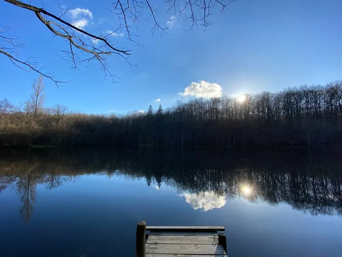 Un étang en hiver, le ponton et ses reflets