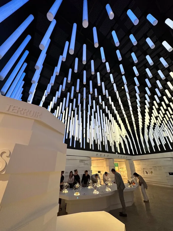 An exhibition room devoted to Burgundy wines, in Mâcon