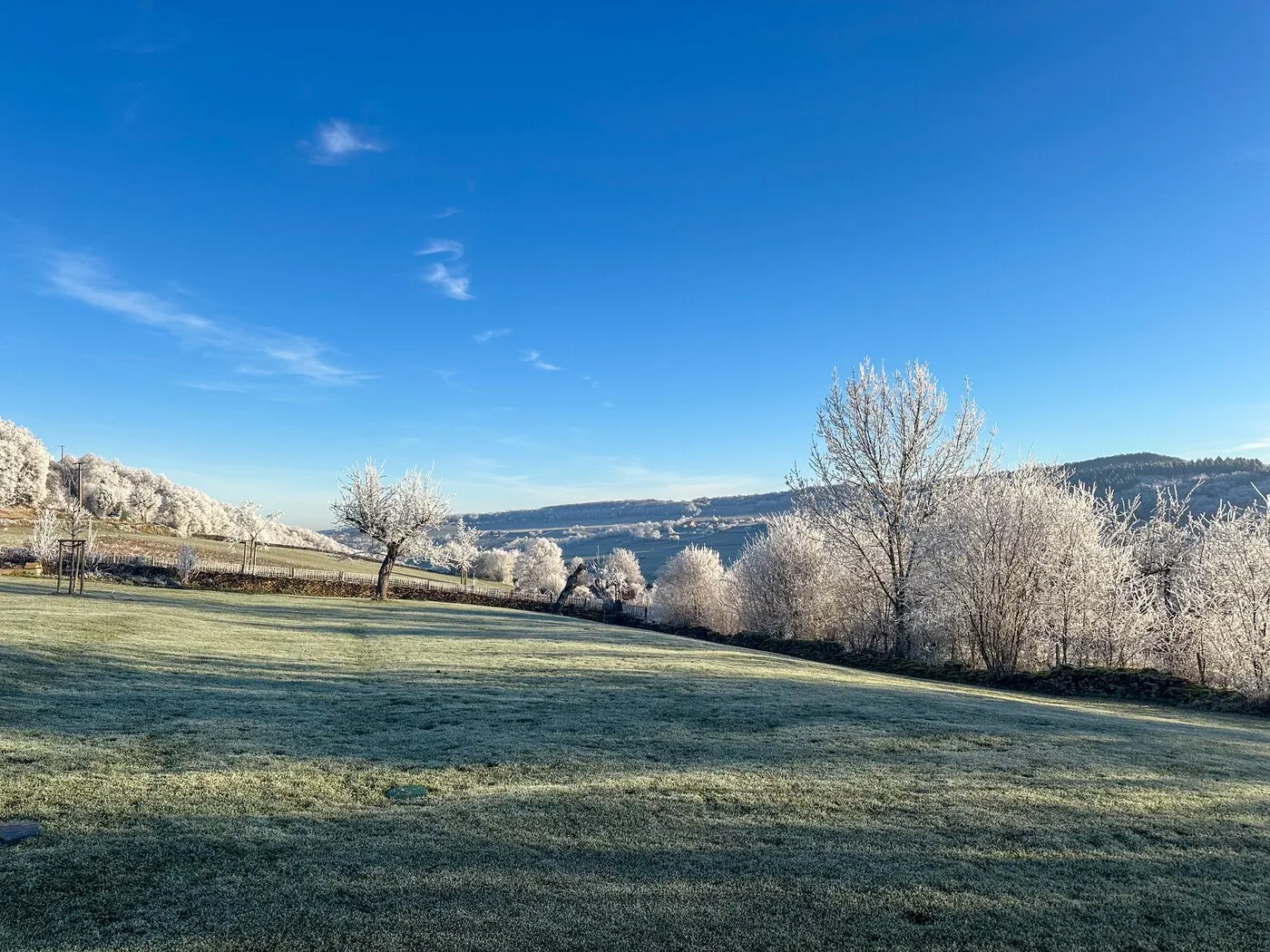 Des arbres givrés un matin d’hiver