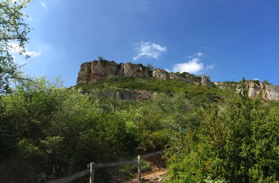 The Roche de Solutré, its cliff rising above the greenery