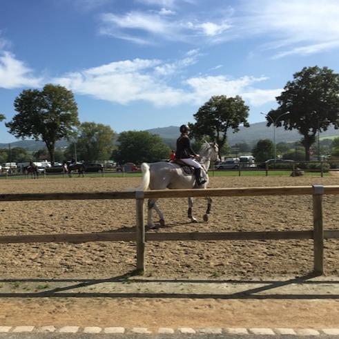 Cheval à Cluny